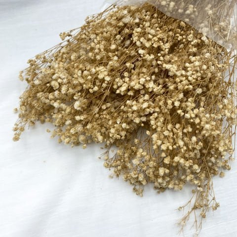 Kuru Cipso Çiçek Naturel