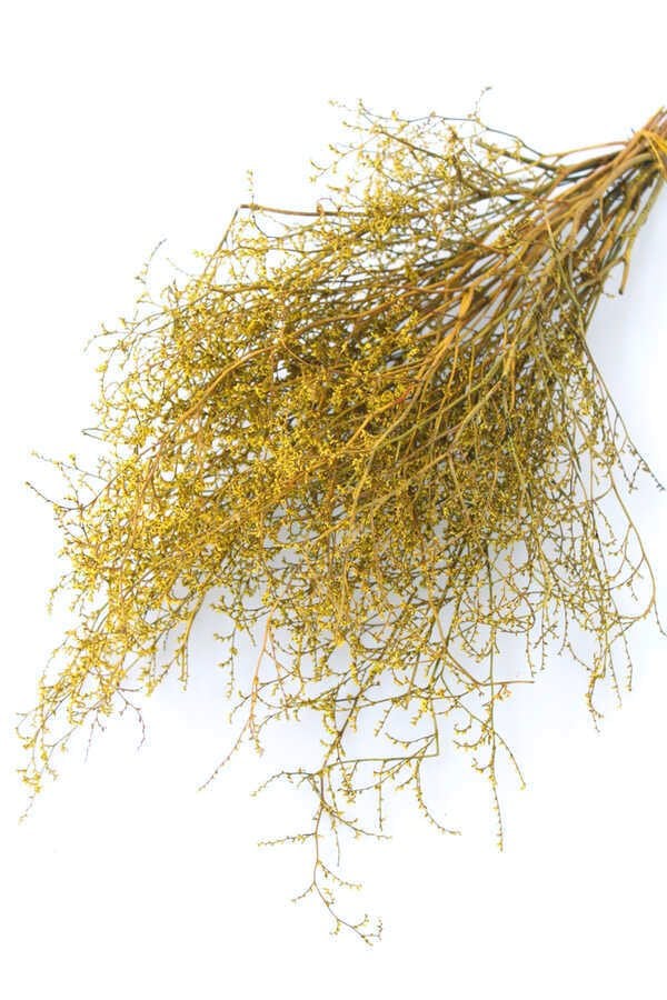 Deniz Otu Kuru Çiçek Naturel