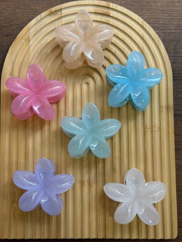 Karışık Lotus Toka 8 cm  ( 12 adet  )