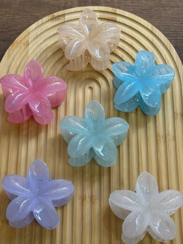 Karışık Lotus Toka 8 cm  ( 12 adet  )