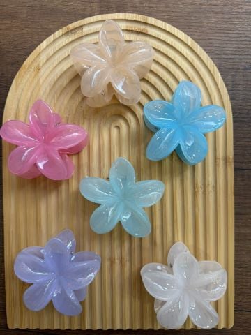 Karışık Lotus Toka 8 cm  ( 12 adet  )