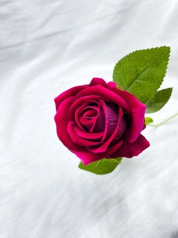 Yapay Kadife Gül (10 adet) Kırmızı