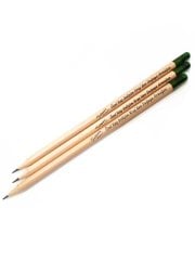 Baskılı Tohumlu Kalem