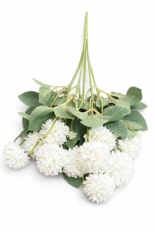 Kasımpatı Çiçek (4-5cm) 10 lu kafa Beyaz