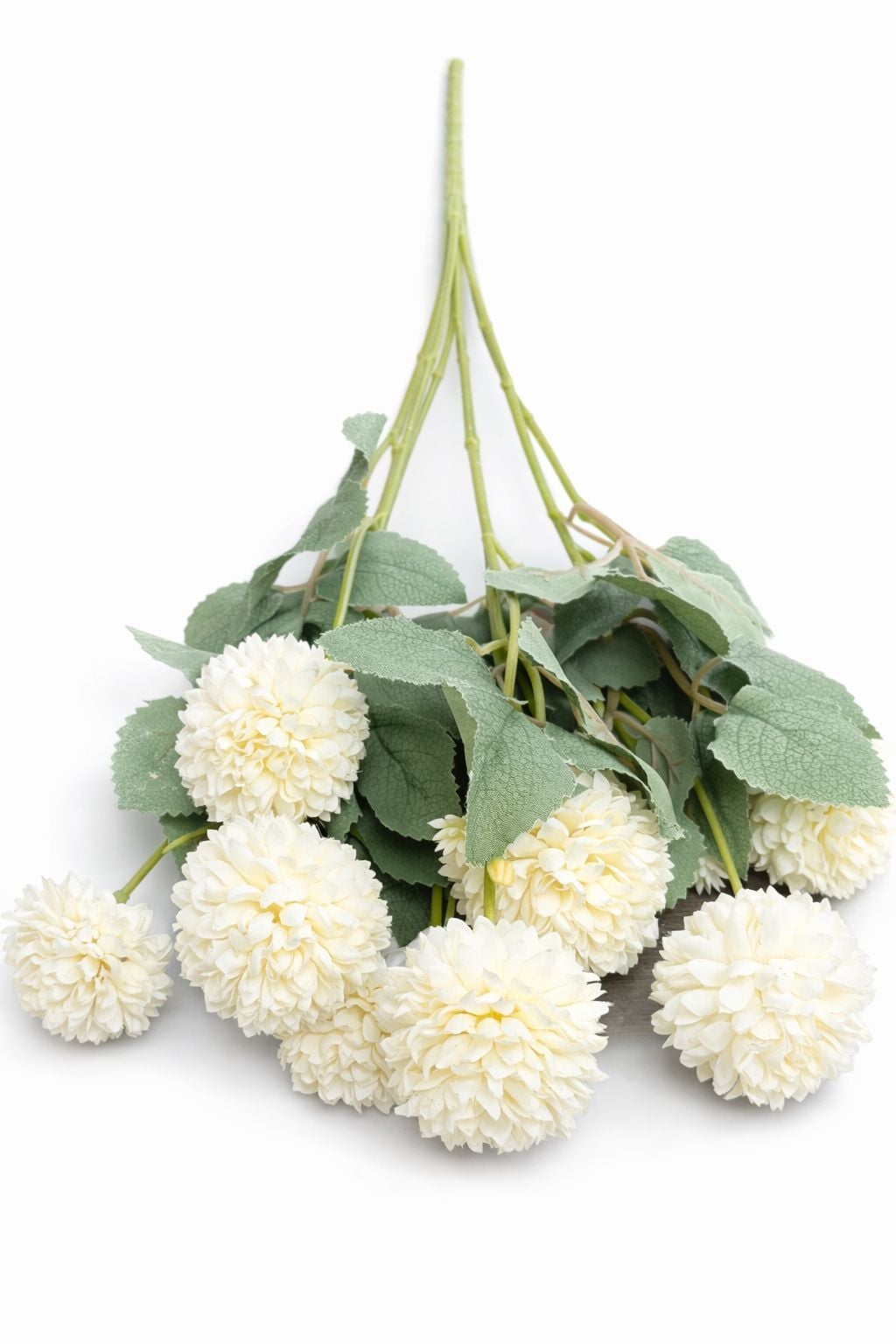 Kasımpatı Çiçek (4-5cm) 10 lu kafa Krem