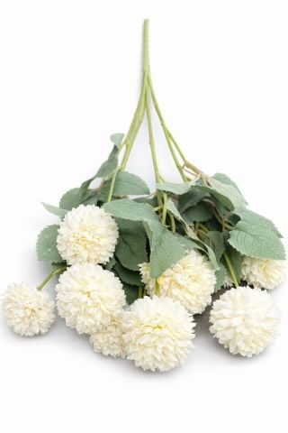 Kasımpatı Çiçek (4-5cm) 10 lu kafa Krem