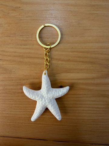 Deniz Yıldızı Anahtarlık