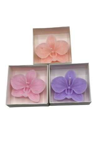 Kutulu Orkide Mum 12li Pembe - Beyaz Kutu