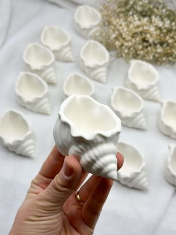 İçi Boş Deniz Kabuğu Mumluk