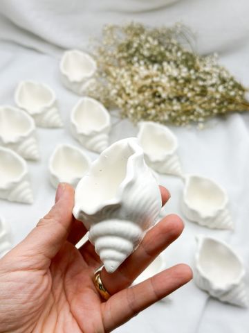 İçi Boş Deniz Kabuğu Mumluk