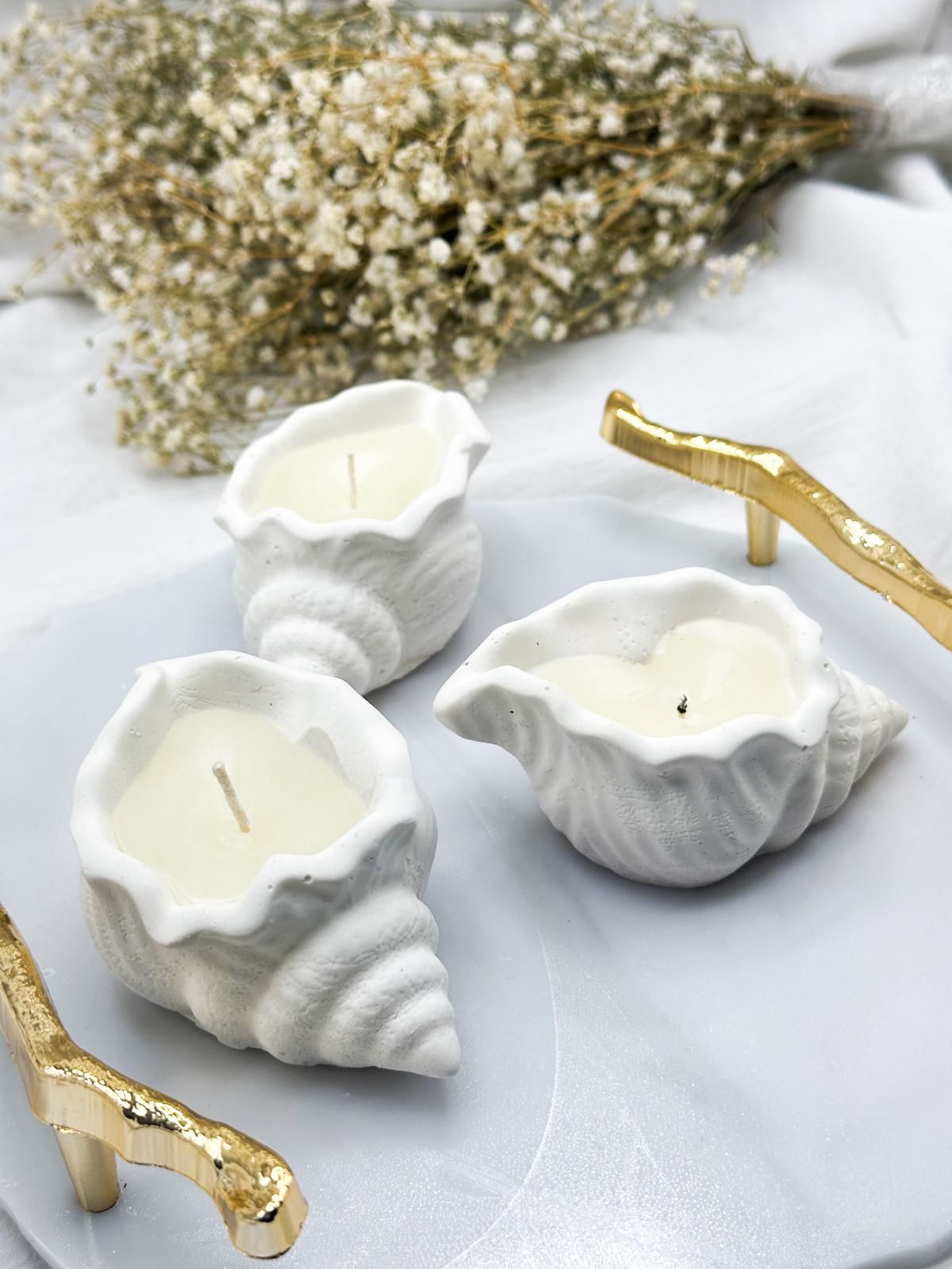 Kokulu  Deniz Kabuğu  Mum 50 Adet