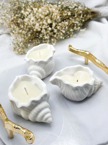 Kokulu  Deniz Kabuğu  Mum 50 Adet