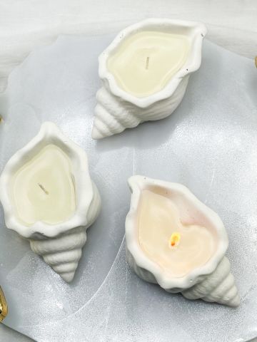 Kokulu  Deniz Kabuğu  Mum 50 Adet