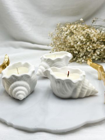 Kokulu  Deniz Kabuğu  Mum 50 Adet