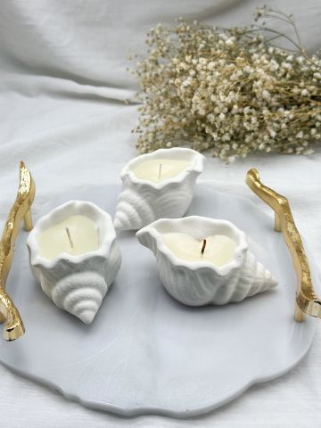 Kokulu  Deniz Kabuğu  Mum 50 Adet