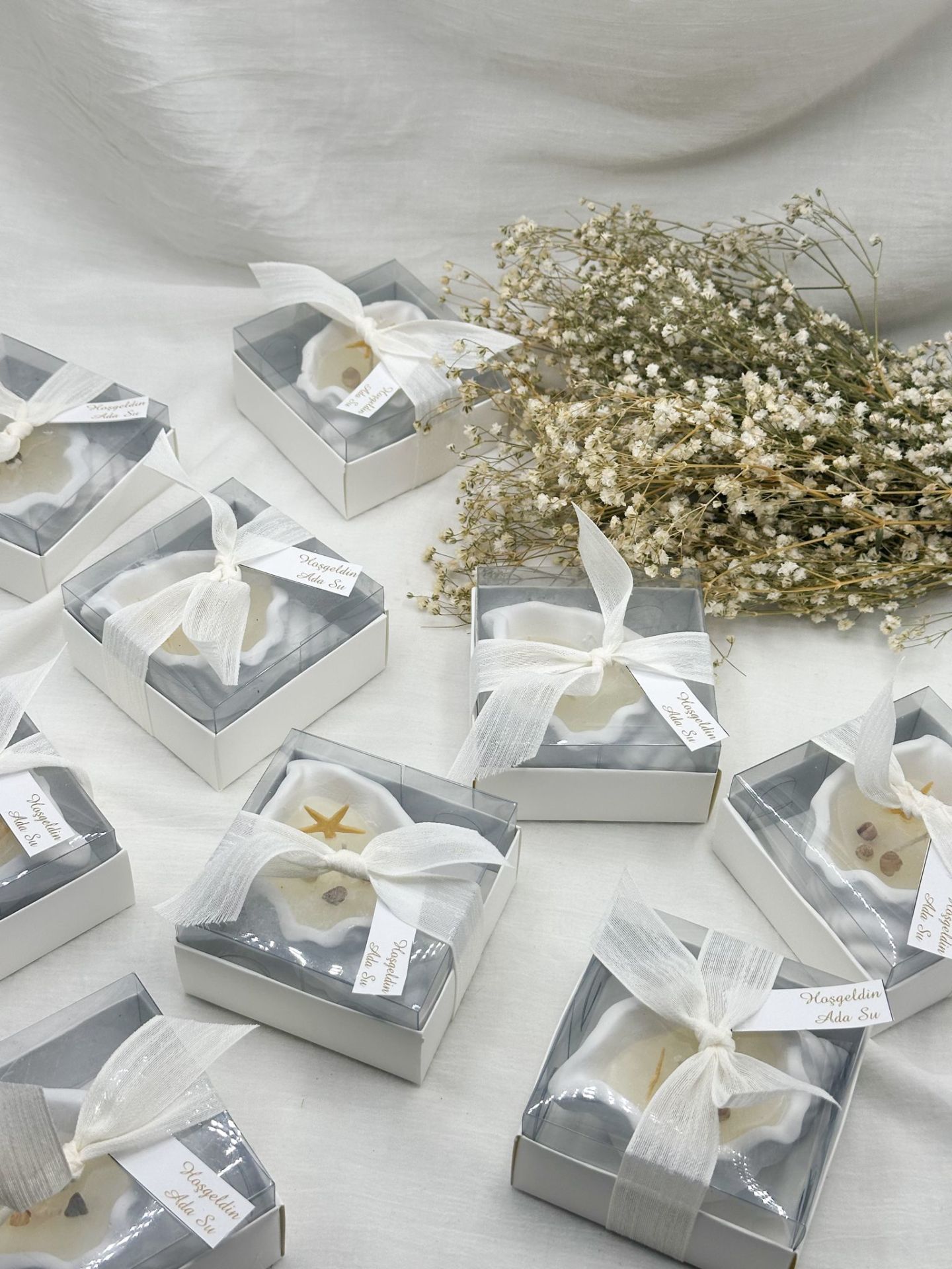 Deniz Yıldızlı  Mumlu Deniz Kabuğu (25 adet)