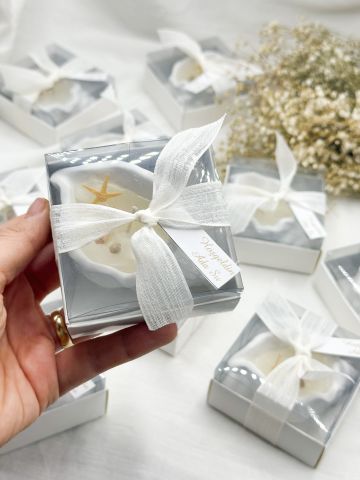 Deniz Yıldızlı  Mumlu Deniz Kabuğu (25 adet)