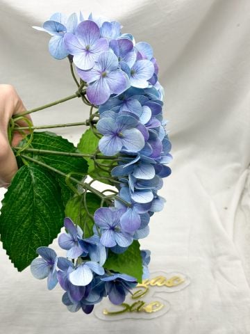 Islak  Yapay Ortanca Mavi