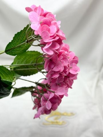 Islak  Yapay Ortanca Fuşya