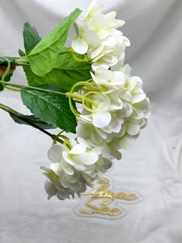 Islak  Yapay Ortanca Beyaz