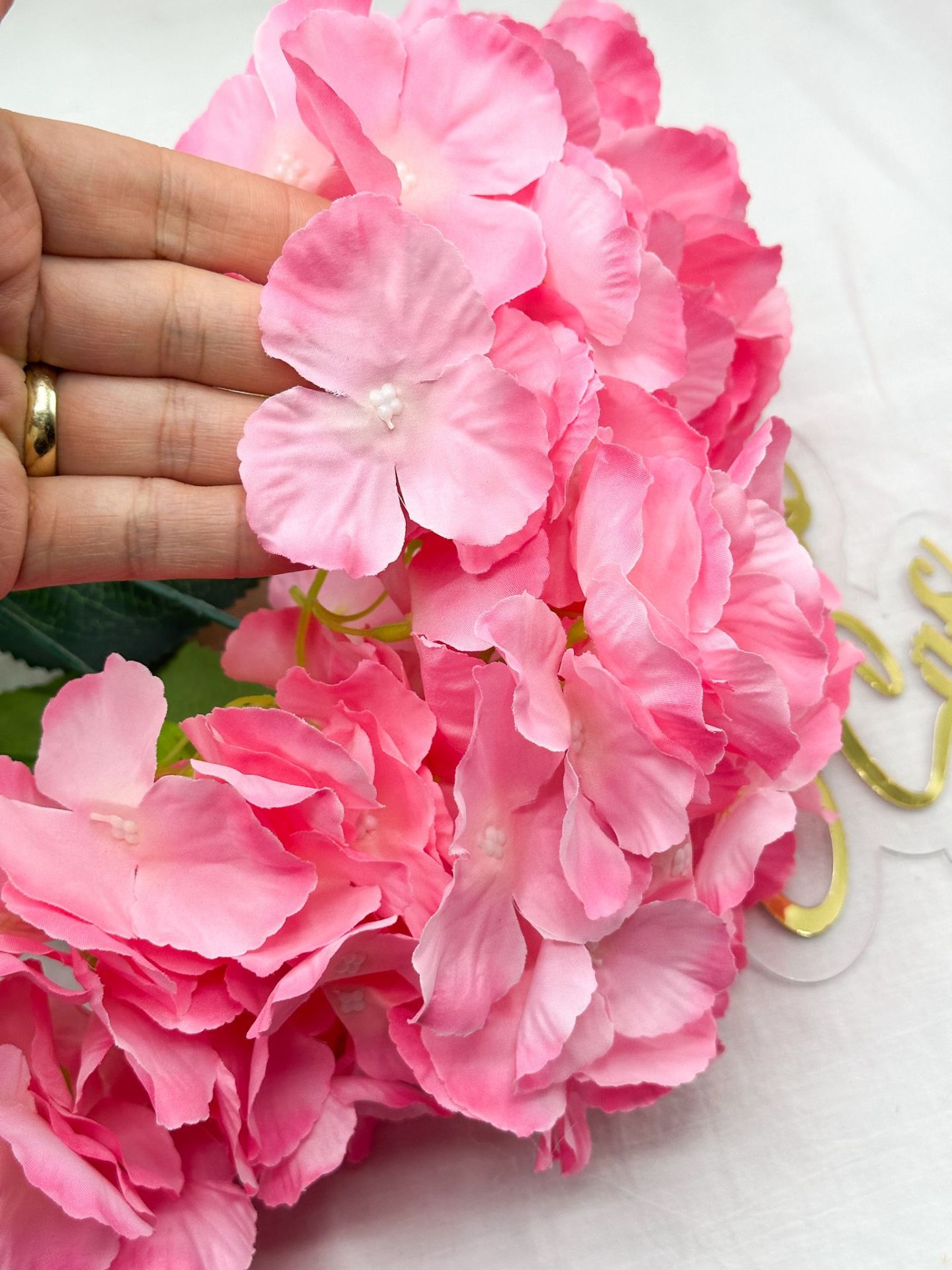 Büyük Ortanca Çiçeği Pembe