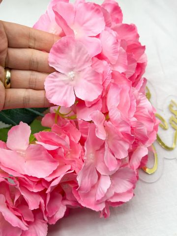 Büyük Ortanca Çiçeği Pembe