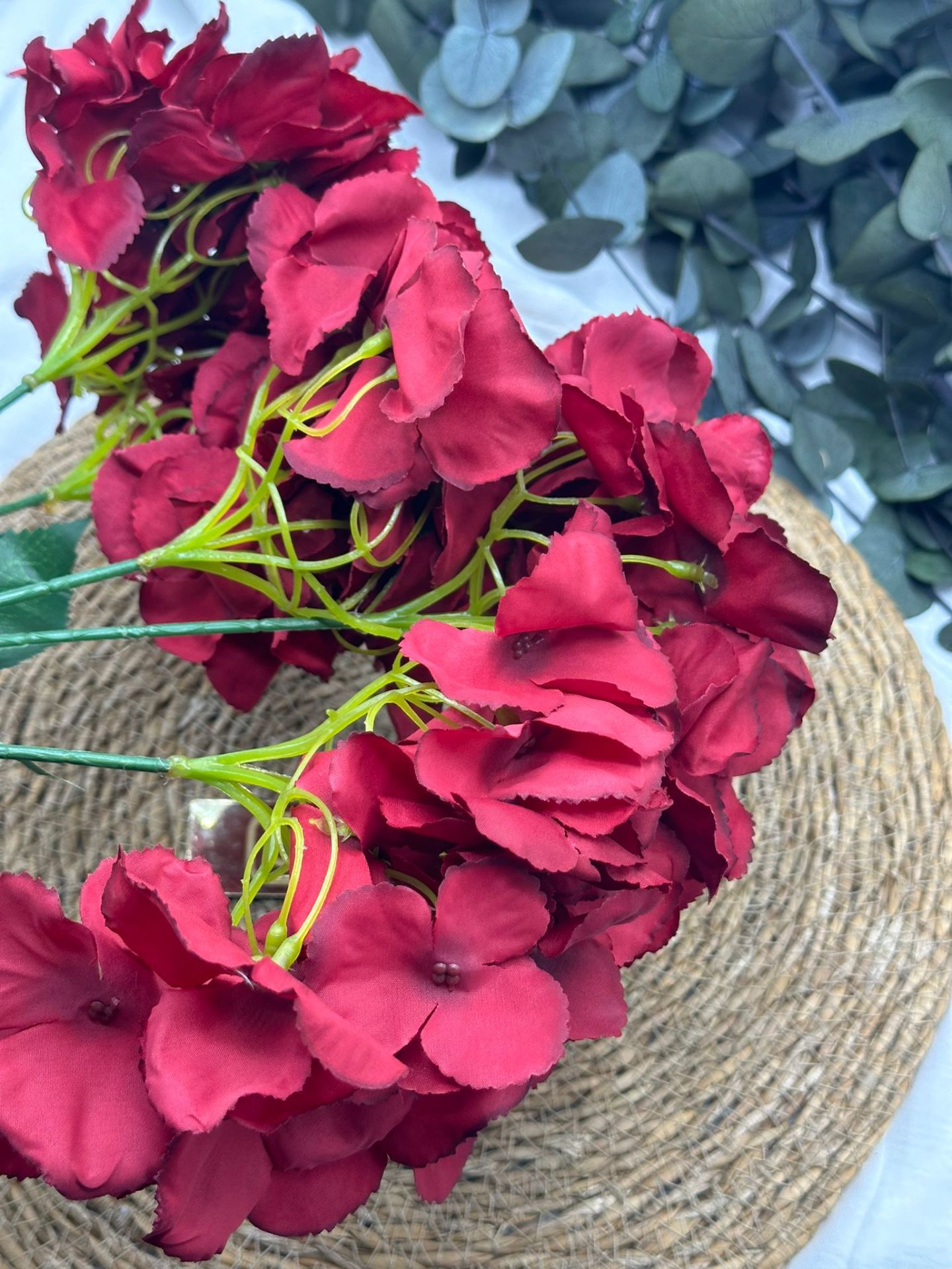 Büyük Ortanca Çiçeği Kırmızı