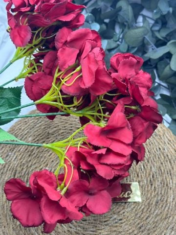 Büyük Ortanca Çiçeği Kırmızı