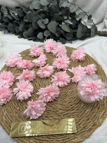 Kasımpatı Kafa 50 adet Pembe