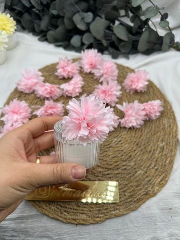 Kasımpatı Kafa 50 adet Pembe