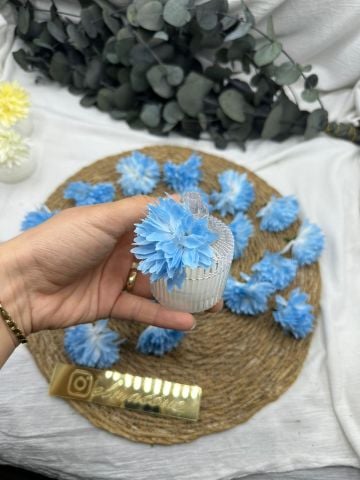 Kasımpatı Kafa 50 adet Mavi