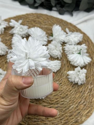 Kasımpatı Kafa 50 adet Beyaz