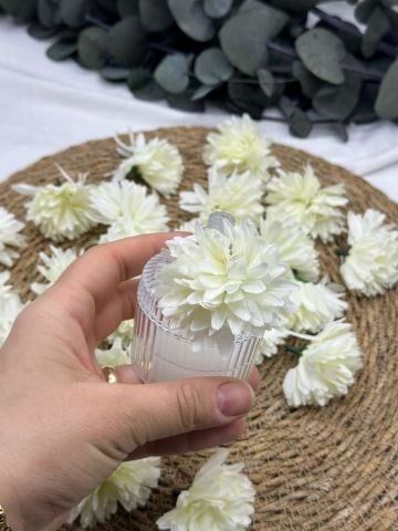 Kasımpatı Kafa 50 adet Krem