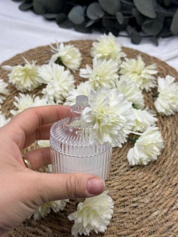 Kasımpatı Kafa 50 adet Krem