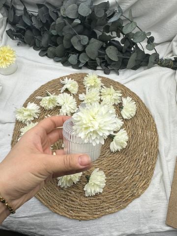 Kasımpatı Kafa 50 adet Krem