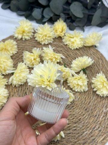 Kasımpatı Kafa 50 adet kavuniçi