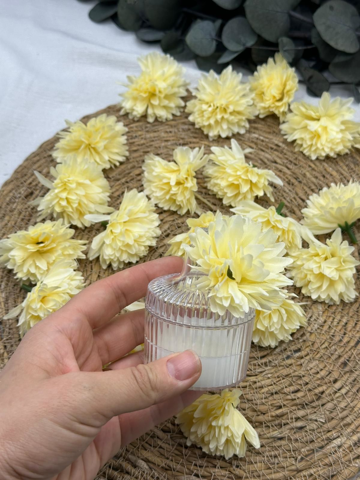 Kasımpatı Kafa 50 adet kavuniçi