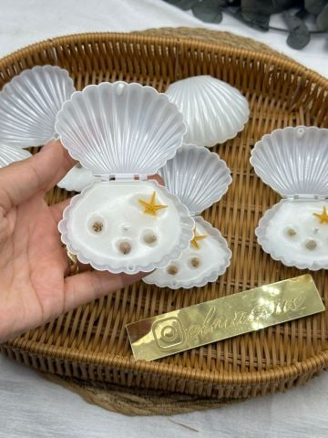 Deniz  Kabuklu  istiridye Mum 50 adet