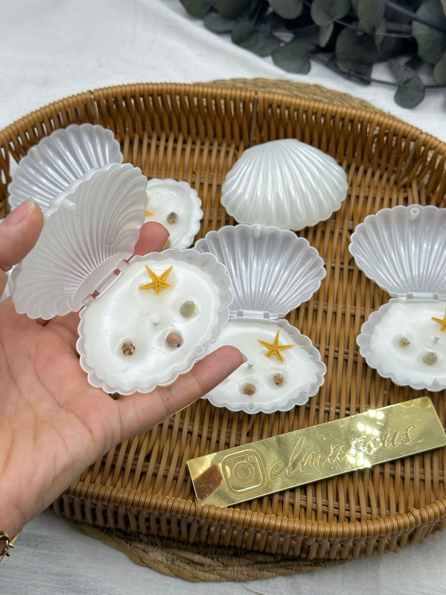 Deniz  Kabuklu  istiridye Mum 50 adet