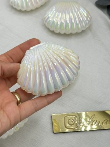 Hologramlı İstiridye Kutu 25adet