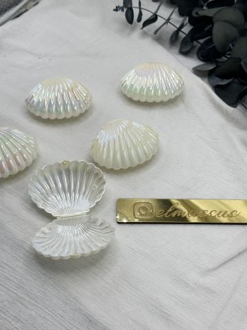 Hologramlı İstiridye Kutu 25adet