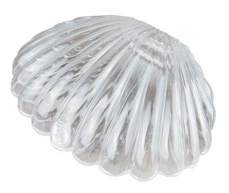 Şeffaf Mika İstiridye 25 adet