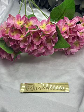 Islak Ortanca Demet Fuşya