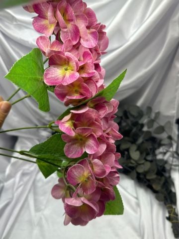 Islak Ortanca Demet Fuşya