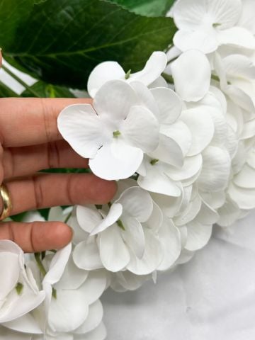 Islak Ortanca Demet Beyaz