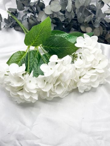 Islak Ortanca Demet Beyaz