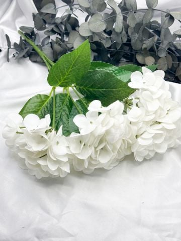 Islak Ortanca Demet Beyaz