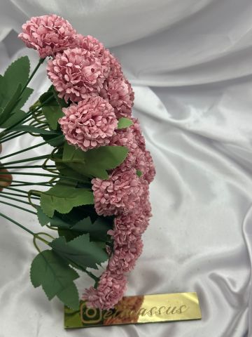 Kasımpatı Demet (18 kafalı) Gül Kurusu