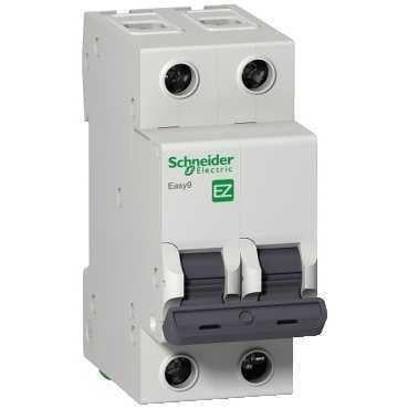 SCHNEIDER 2P 40A C TİPİ SİGORTA EZ9F43240