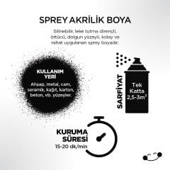 Polisan Akrilik Parlak Siyah Sprey Boya 400 ml - RAL 9005
